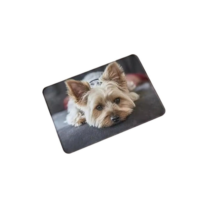 TAPETE ENTRADA CASA BAÑO COCINA ALCOBA PERRO YORKSHIRE 60 CM 40 CM ANIMAL PRINT CHOCOLATE