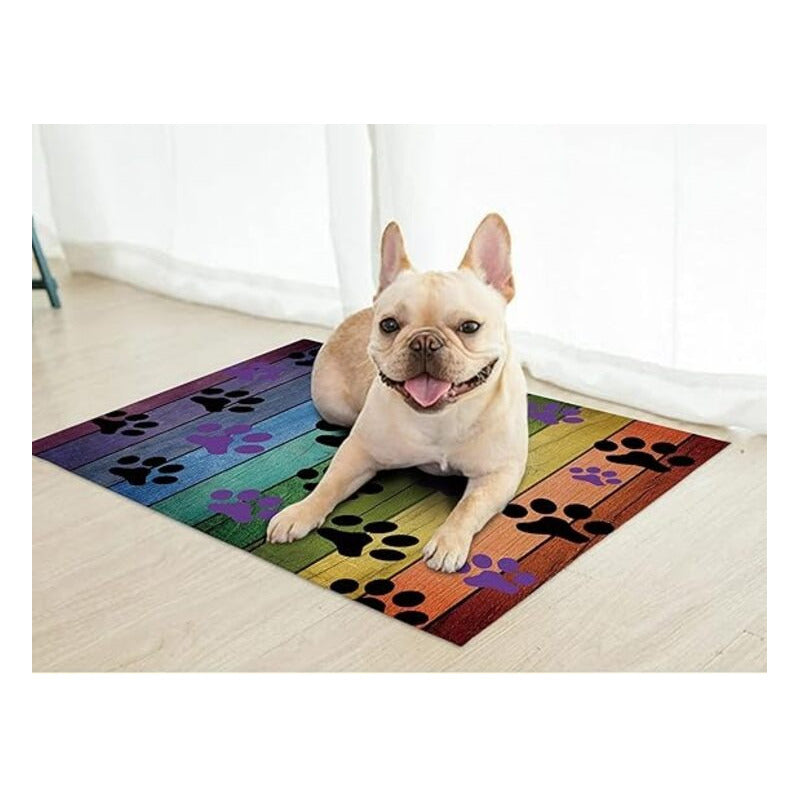 TAPETE HUELLAS ARCOIRIS MASCOTA BAÑO HOGAR GATO PERRO 60 CM 40 CM ANIMAL PRINT ARCOÍRIS