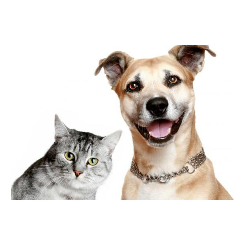 CEPILLO DIENTES MASCOTA PERRO